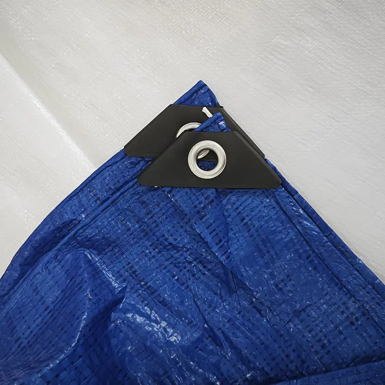 60g mavi pe branpaulin