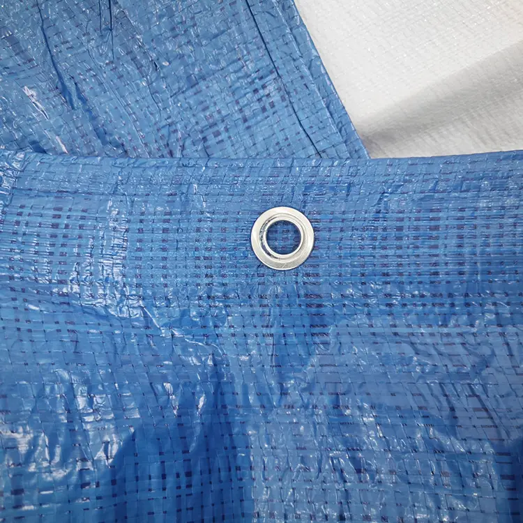 60g mavi pe branpaulin