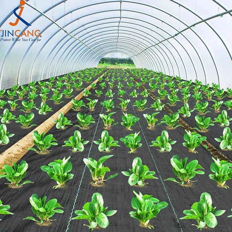 PP dokuma yabani ot mat