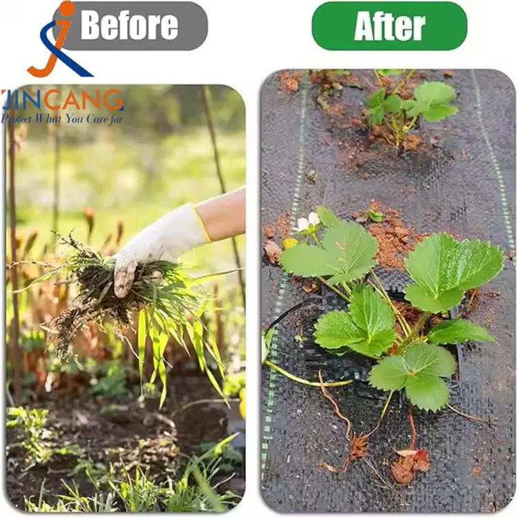 PP dokuma yabani ot mat