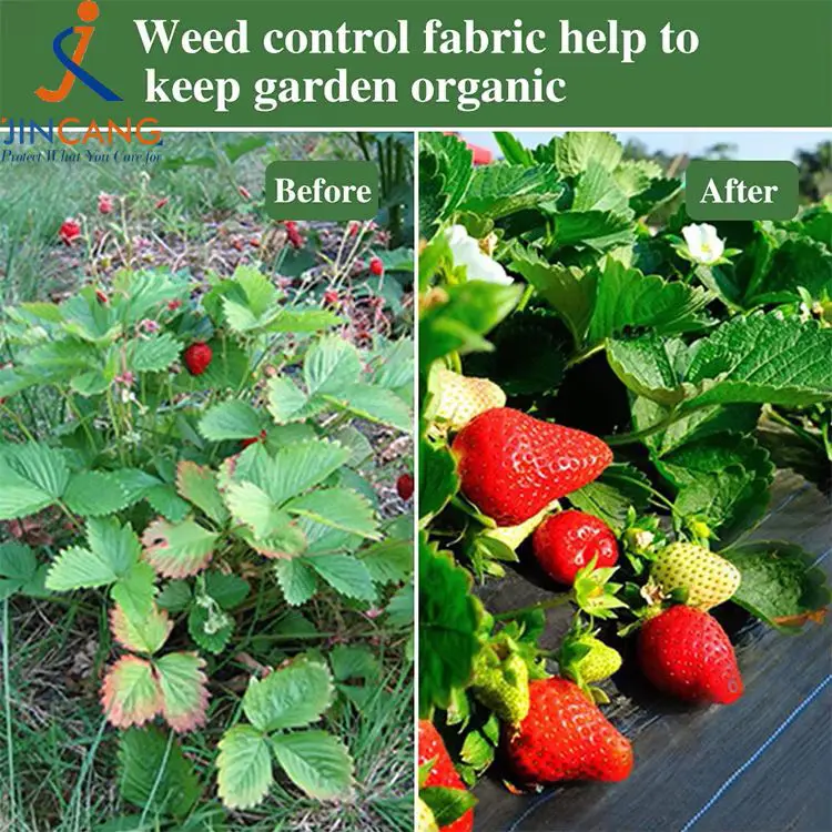 Yabancı ot kontrol kumaş mat