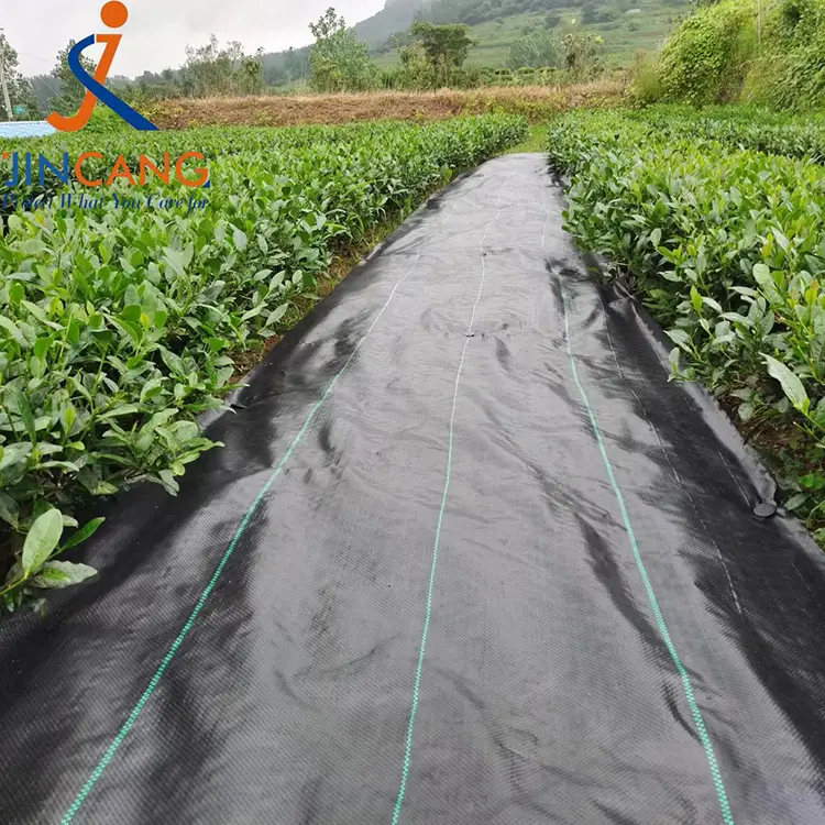 Yabancı ot kontrol kumaş mat